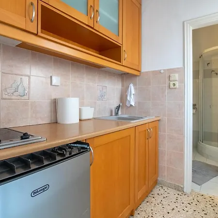 Penthouse Under Acropolis Hill Apartment *